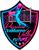 logo VALDARNOVOLLEY